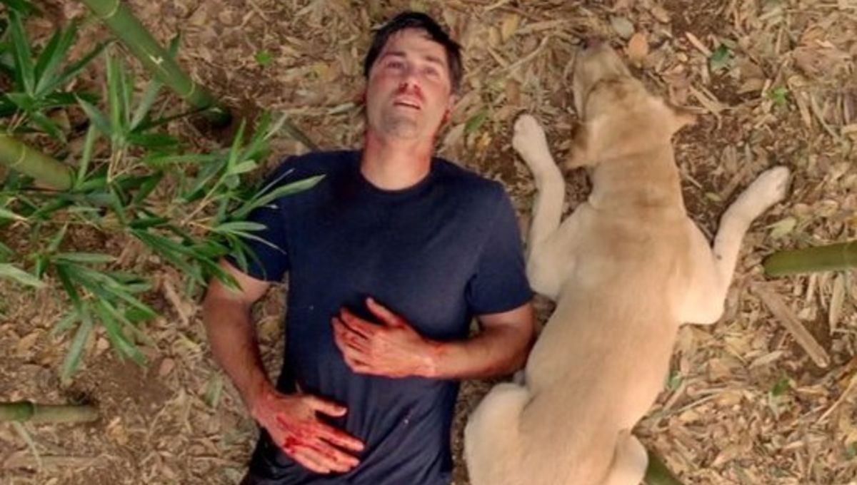 lost-finale-Jack-dying.jpg