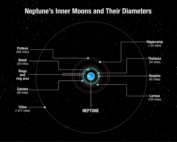 The orbits and sizes of Neptune’s moons, including its ring arcs. The orbits of Proteus and Hippocamp are extremely close. Credit: NASA, ESA, and A. Feild (STScI)