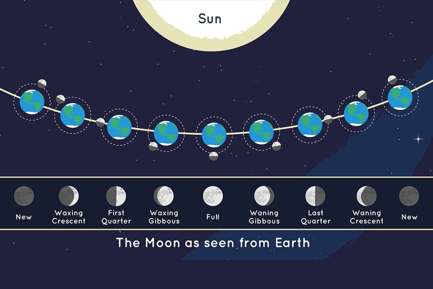 Moon Phases graphic