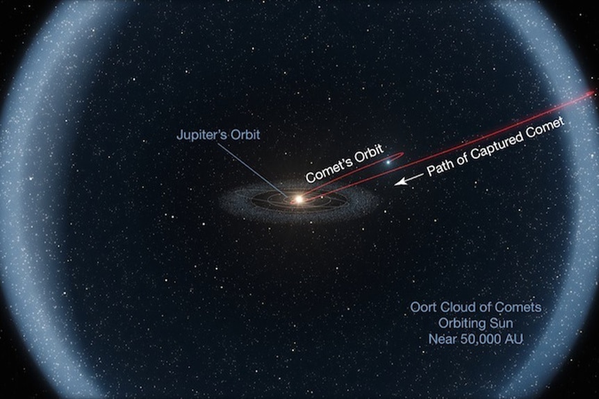 A diagram of the solar system including the Oort cloud.