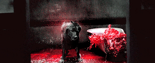 The-Cell-Black-Dog-gif