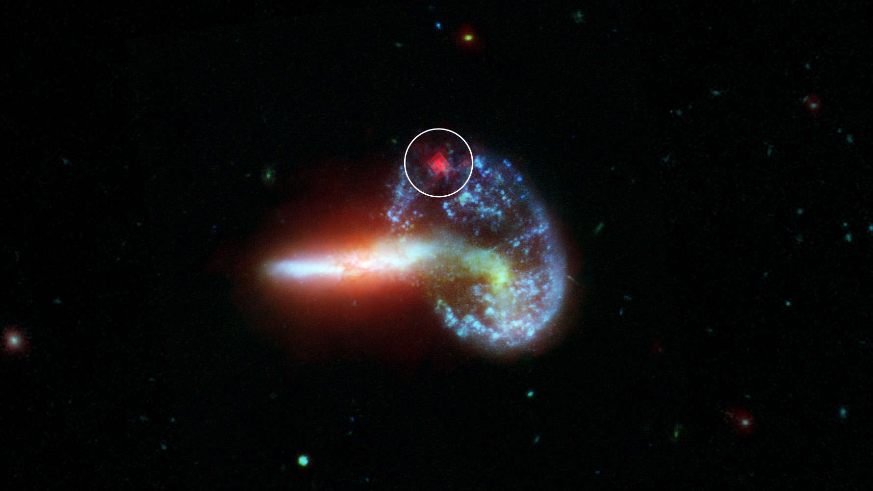 Missing link found: supernovae give rise to black holes or neutron stars