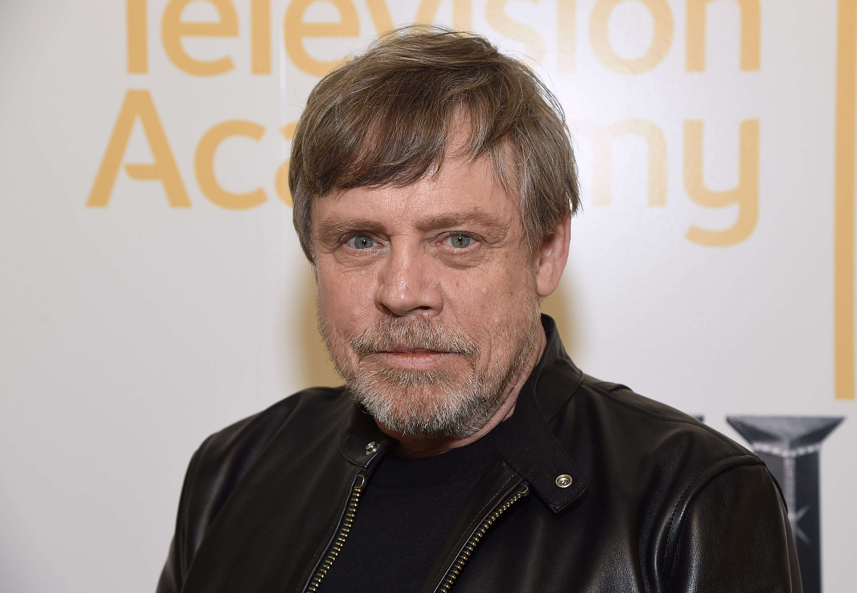 Mark Hamill's Netflix horror series confirms release date with