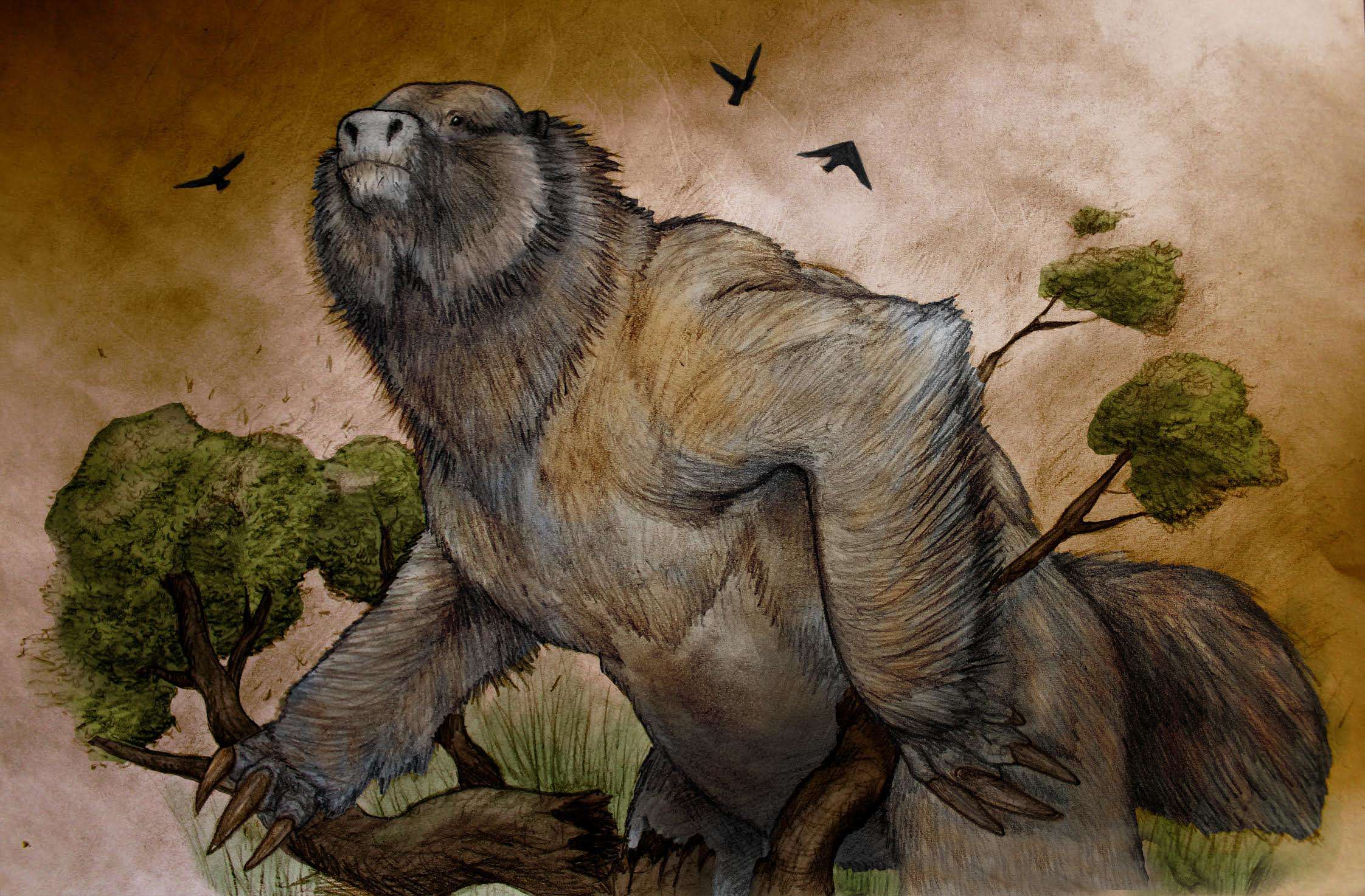 giant land sloth