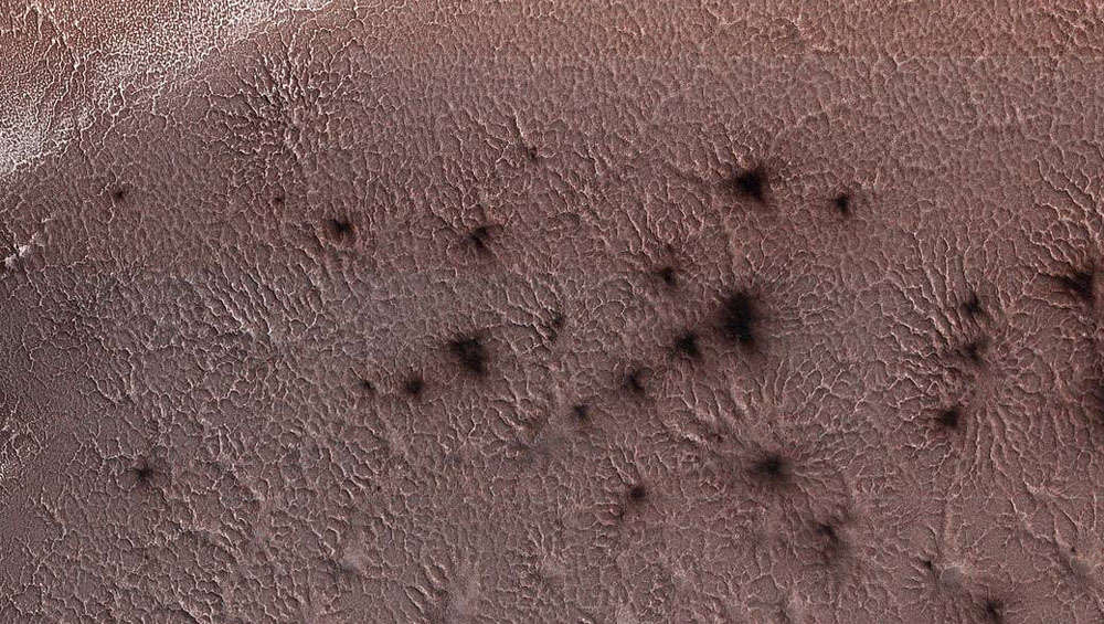 These Spiders from Mars are in Fine Araneiform - The Cosmic Companion