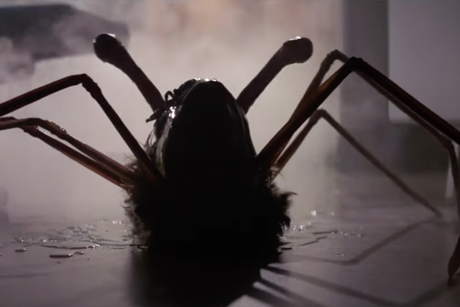 A spider-like monster appears in The Thing (1982).