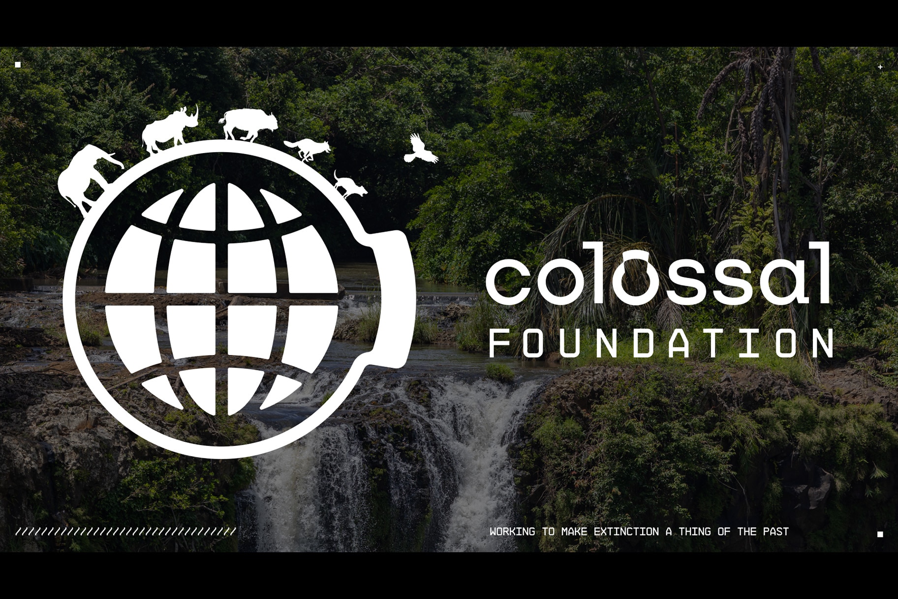 Colossal Foundation logo