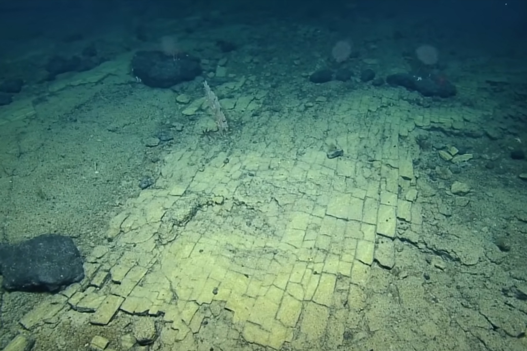 Underwater yellow brick road.