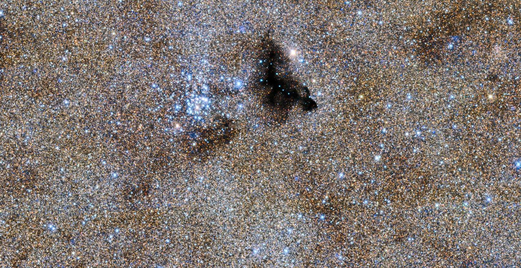 A subsection of the survey image (near the center top) shows stars in a cluster near a dense pocket of opaque interstellar dust.