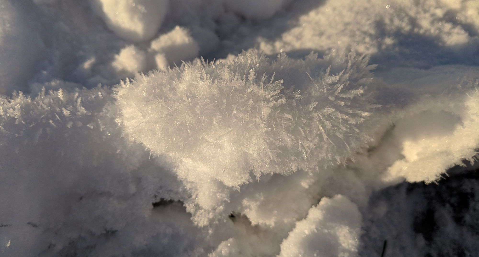 Ice crystals grow during a cold snap. Credit: Phil Plait