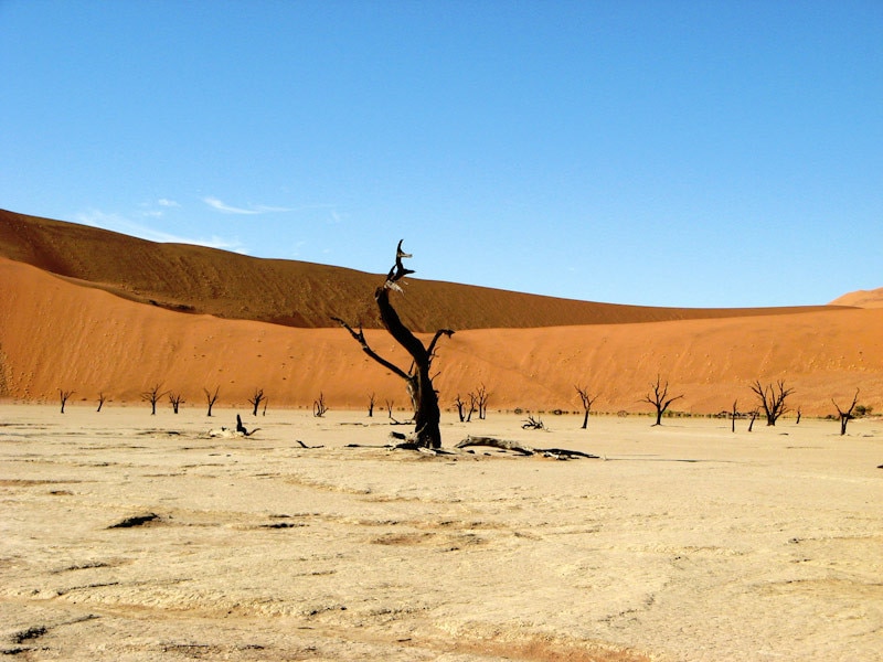 Deadvlei