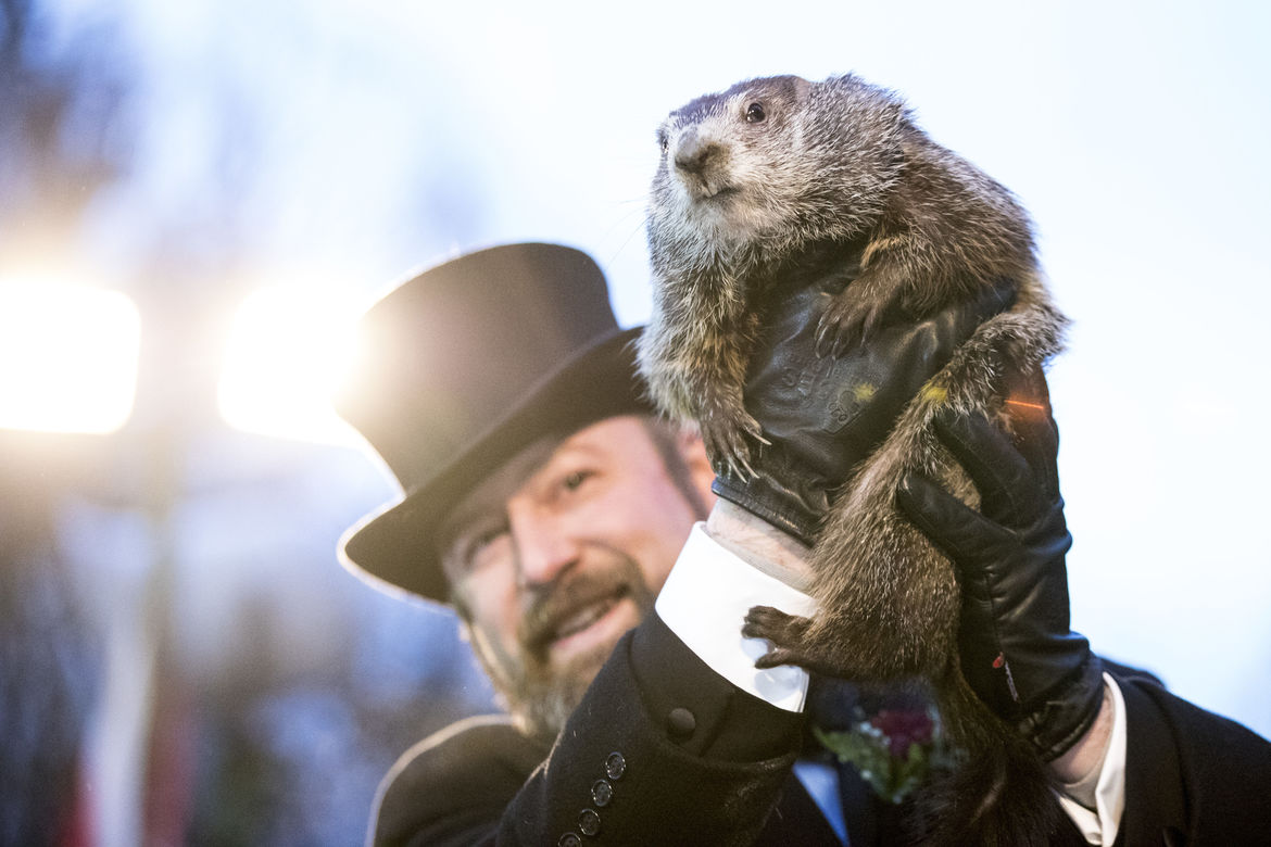 groundhog day costume party