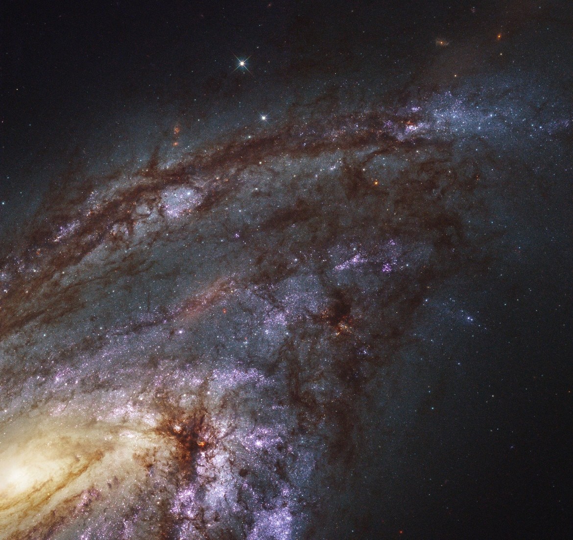 Bad Astronomy | Hubble + Nearby galaxies = galactic gorgeousness