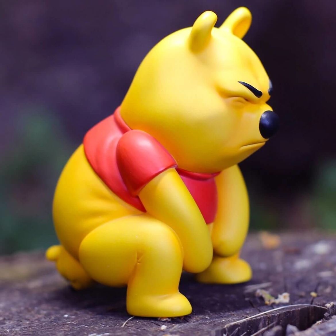 winnie the pooh action figures