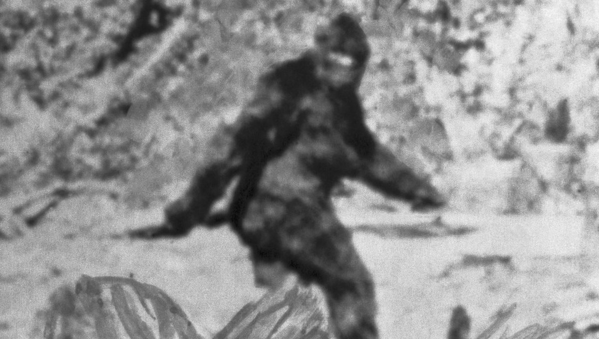 Читы на bigfoot