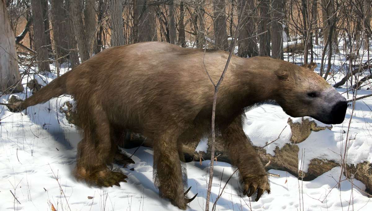 Scientists uncover mass grave of giant Ice Age ground sloths