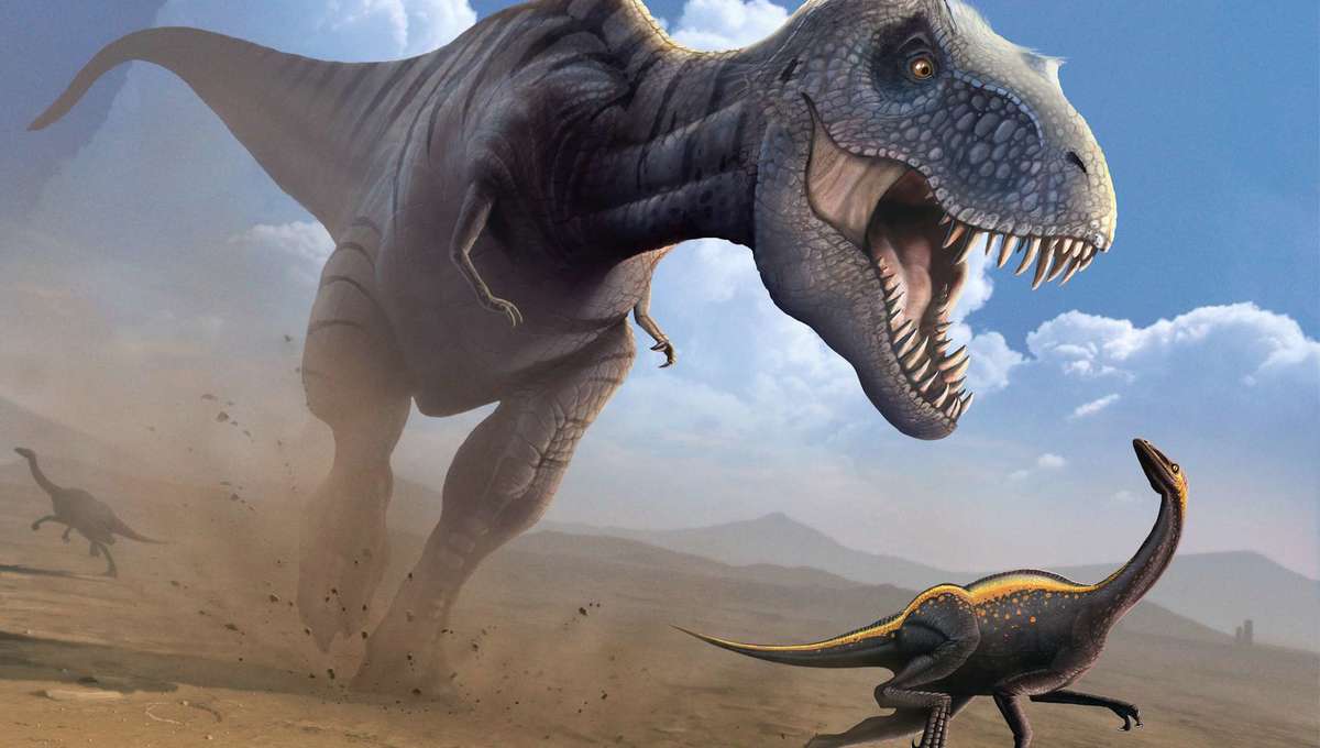 New Research Paper Theorizes That Tyrannosaurus Rex Was Built For Slow Walking