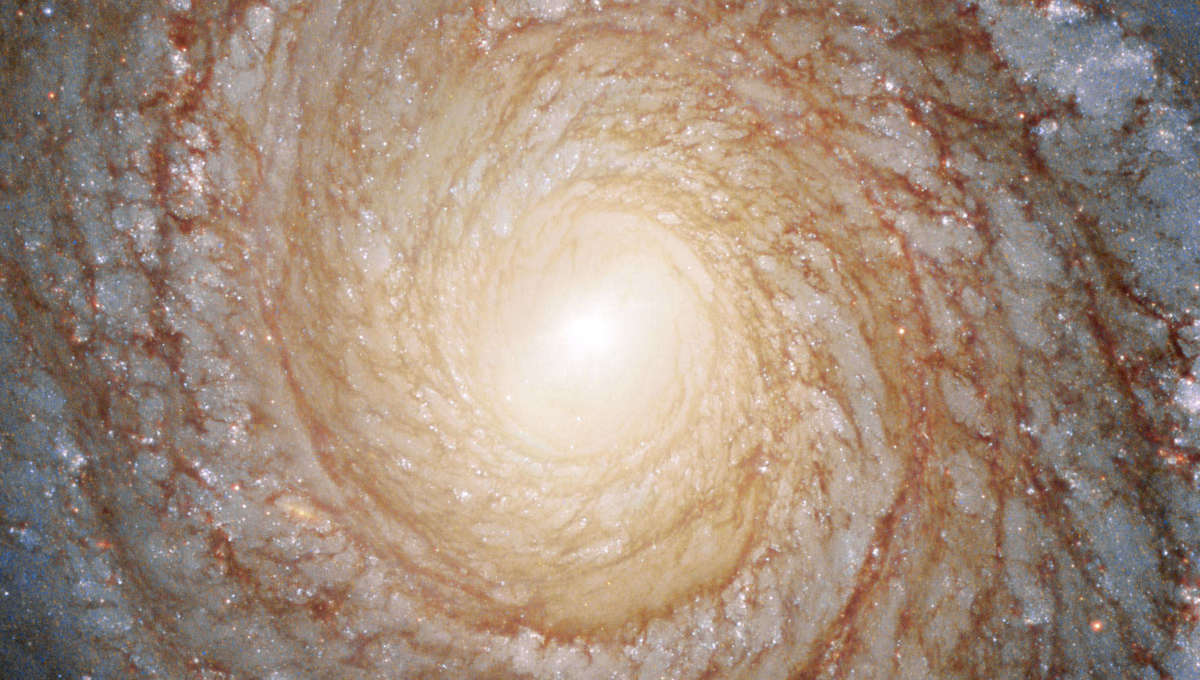 Bad Astronomy The Gorgeous Spiral Galaxy Ngc 3147 C O Hubble