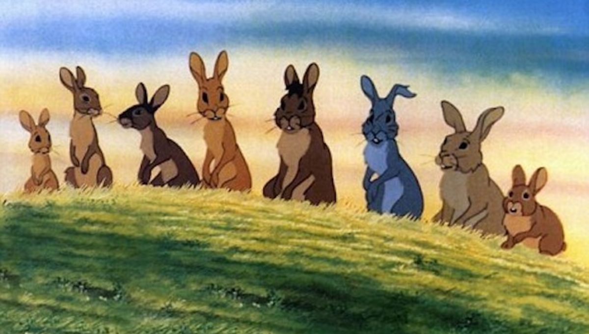 Watership Down Fans??? | Warrior Cats Forums