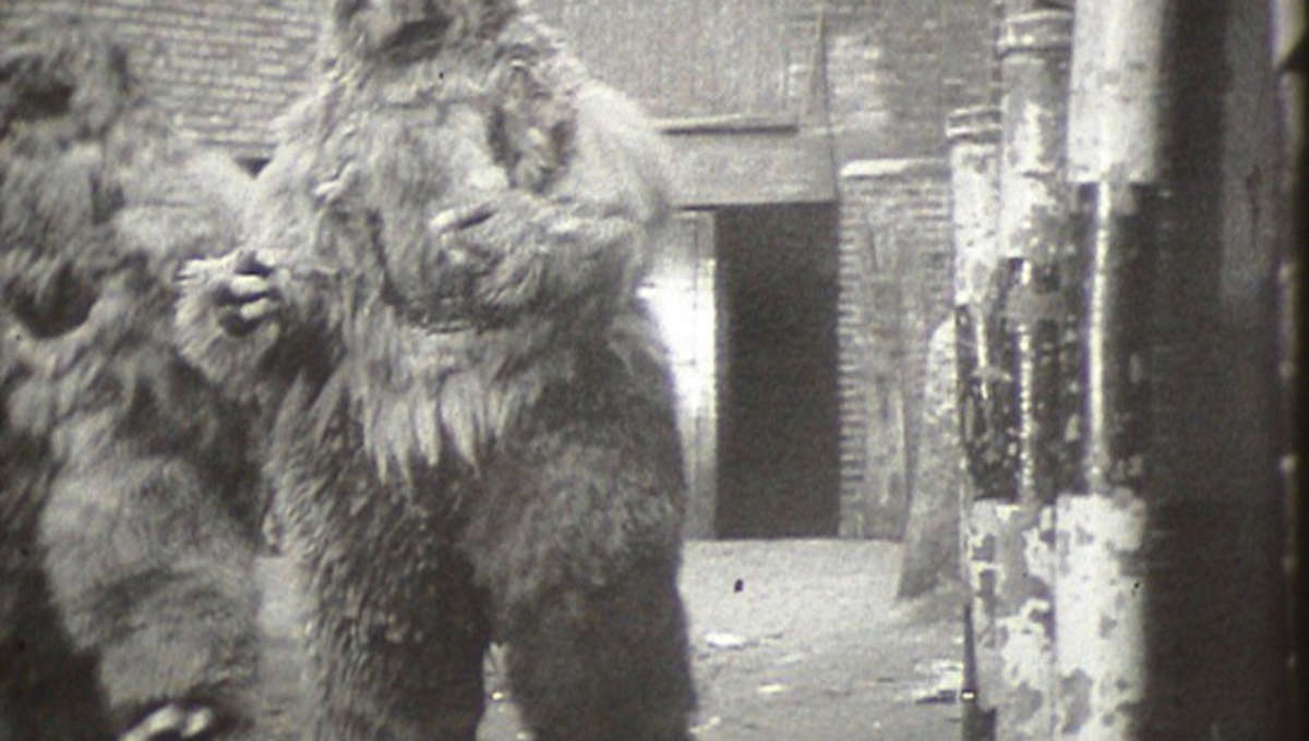 Scientists Say They Re 95 Sure They Ve Found Proof Yetis Are Real