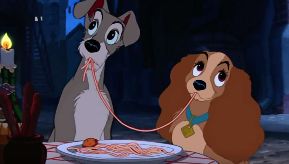 Meet Monte, the rescue dog cast in Disney's live-action Lady and the