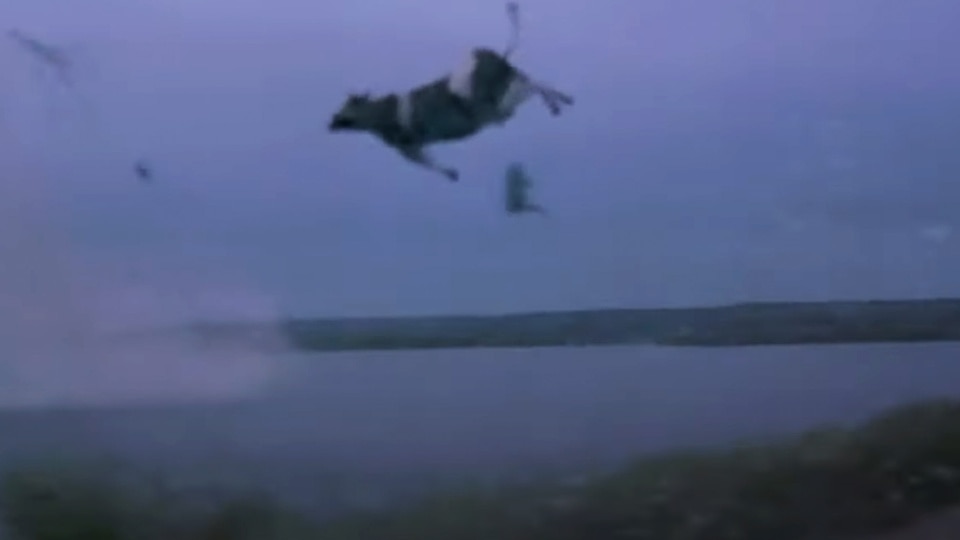 A cow flies through the air in Twister (1996).