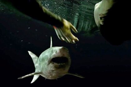 47 Meters Down Uncaged