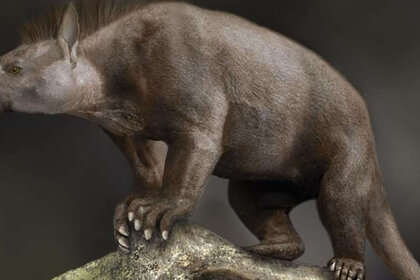 prehistoric mammal