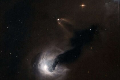 Young Stellar Object NASA