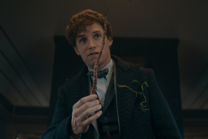 Fantastic Beasts: Eddie Redmayne attended wand school | SYFY WIRE