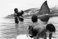 A large shark fin approaches people in the water