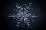 Close up photo of an individual snowflake.