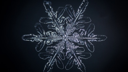 Close up photo of an individual snowflake.