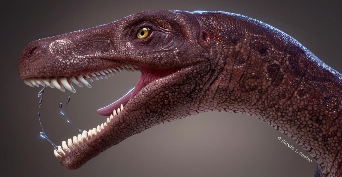 Newly catalogued dinosaur is among the oldest apex predators ever found |  SYFY WIRE