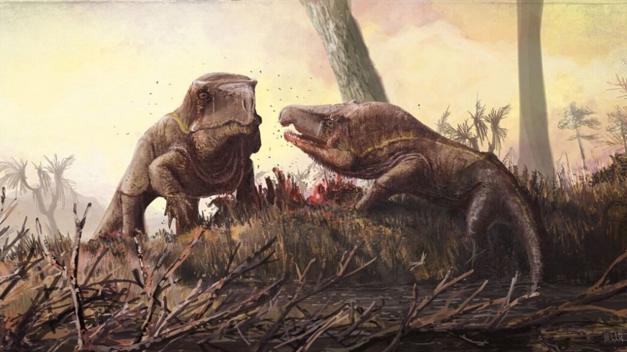 Paleontologists: Pleistocene Hyper-Carnivores Kept Giant Plant