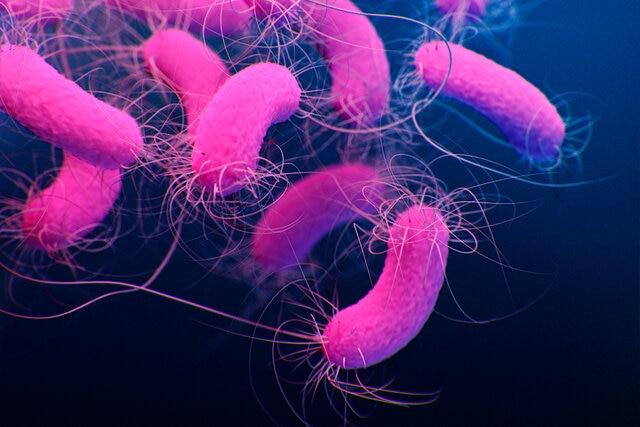 Killer antimicrobial named for Keanu Reeves' deadly roles | SYFY WIRE