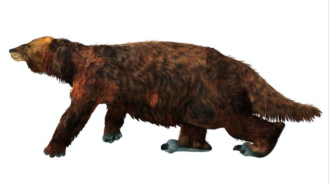 Scientists Uncover Mass Grave Of Giant Ice Age Ground Sloths Syfy Wire