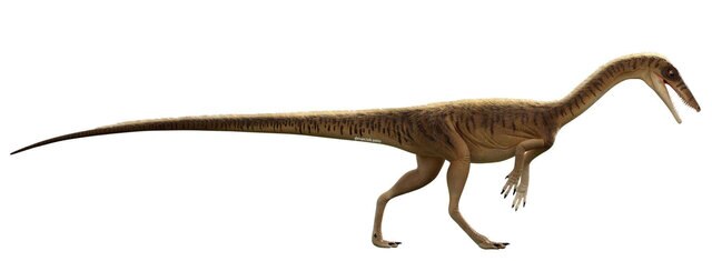 New dinosaur was an early ancestor of T. Rex and other vicious ...