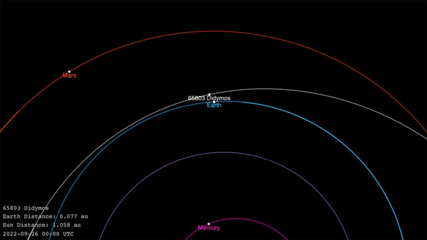 The orbit of the binary asteroid 65803 Didymos