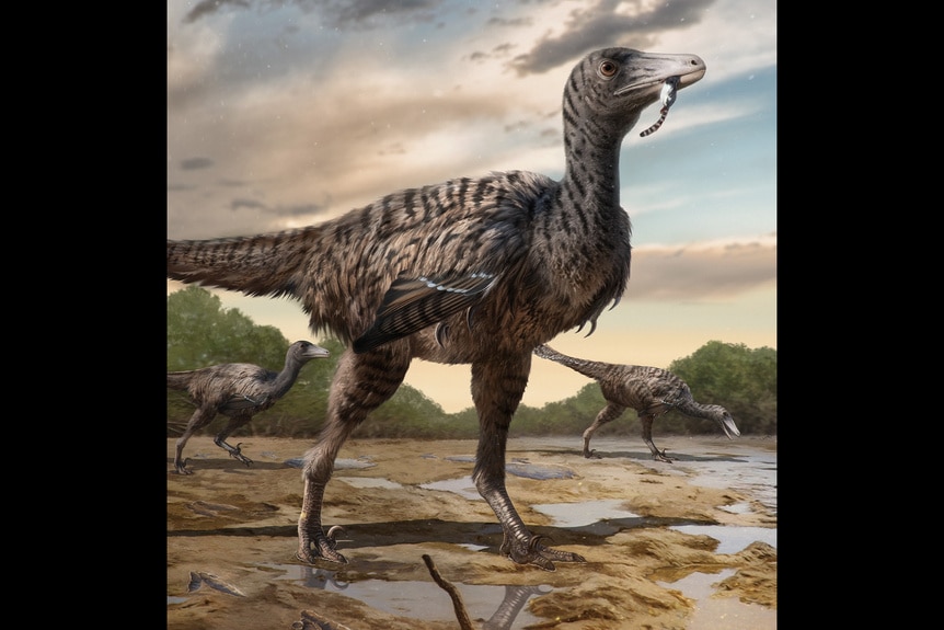 A reconstructive illustration of giant troodontid Fujianipus yingliangi.