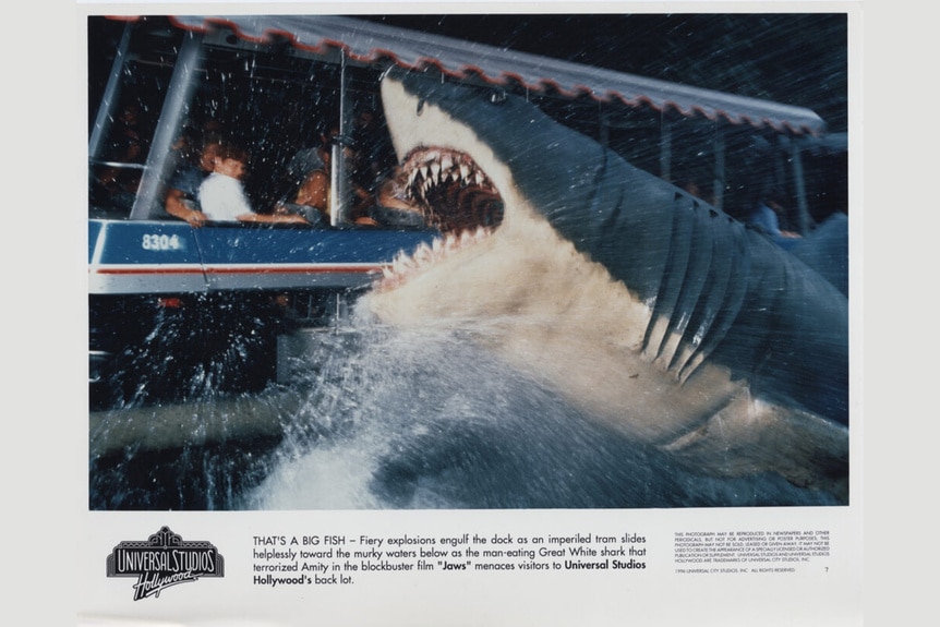 A shark jumps out of the water at Universal Studios Hollywood's Jaws Lake ride.