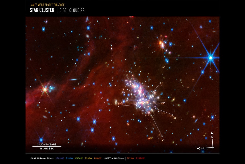 Baby Stars Growing at the Edge of the Galaxy - Here's What They Look Like