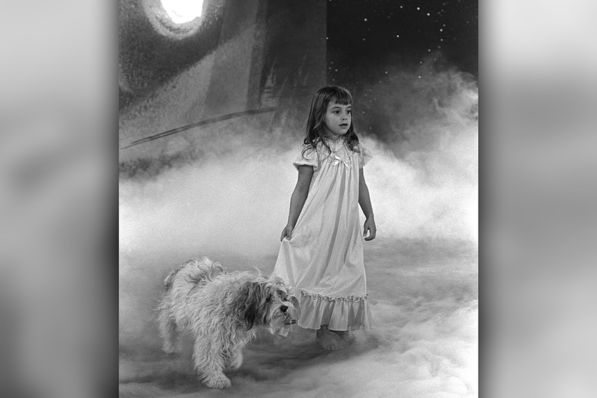 Tina (Tracy Stratford) walks with a dog on The Twilight Zone Episode 'Little Girl Lost'.