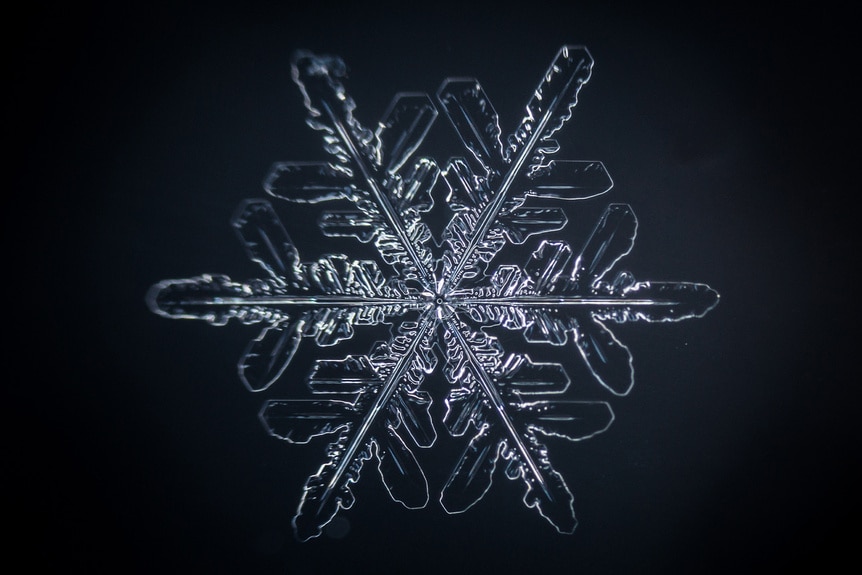 Close up photo of an individual snowflake.