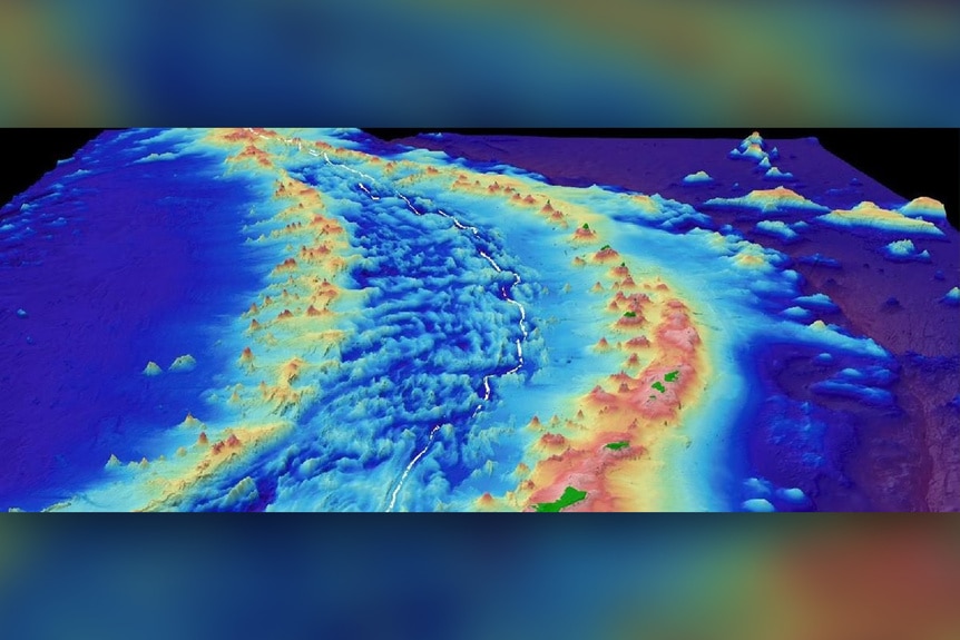 A topographical map of the Mariana Trench.