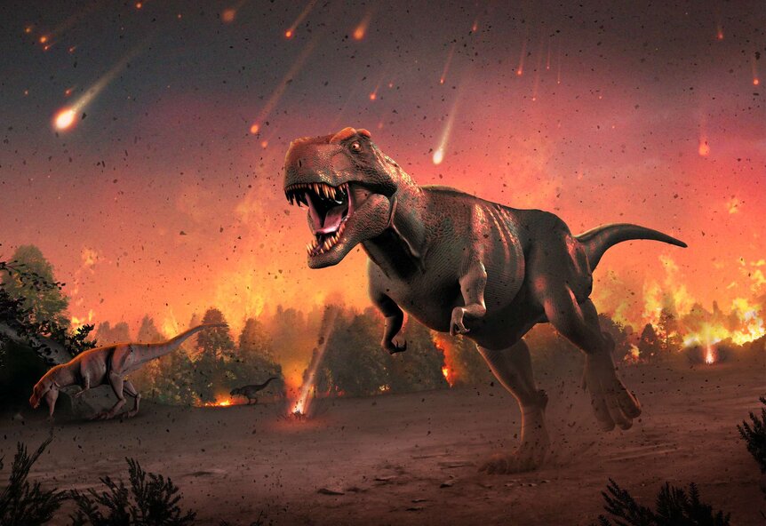 Billions of T. rex likely roamed the Earth, paleontologists report