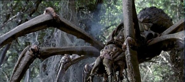 Harry Potter S Aragog And 12 More Humongous Movie Spiders